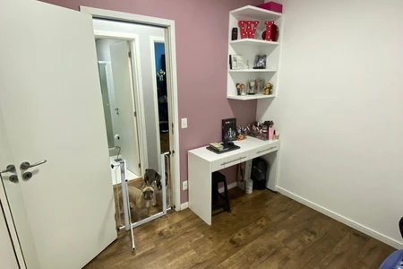 Foto 7
