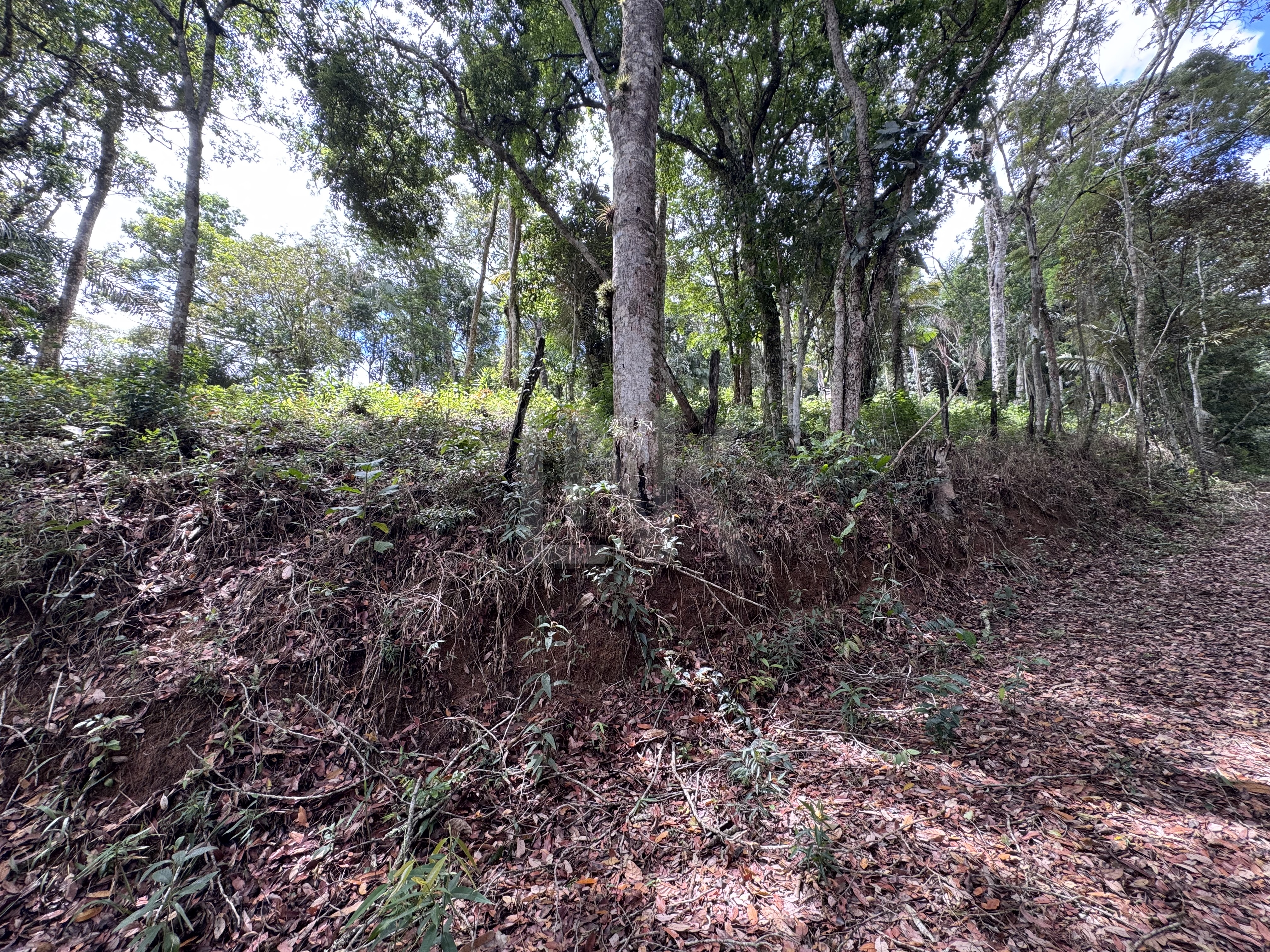 Terreno | Venda | AMAVALLE
