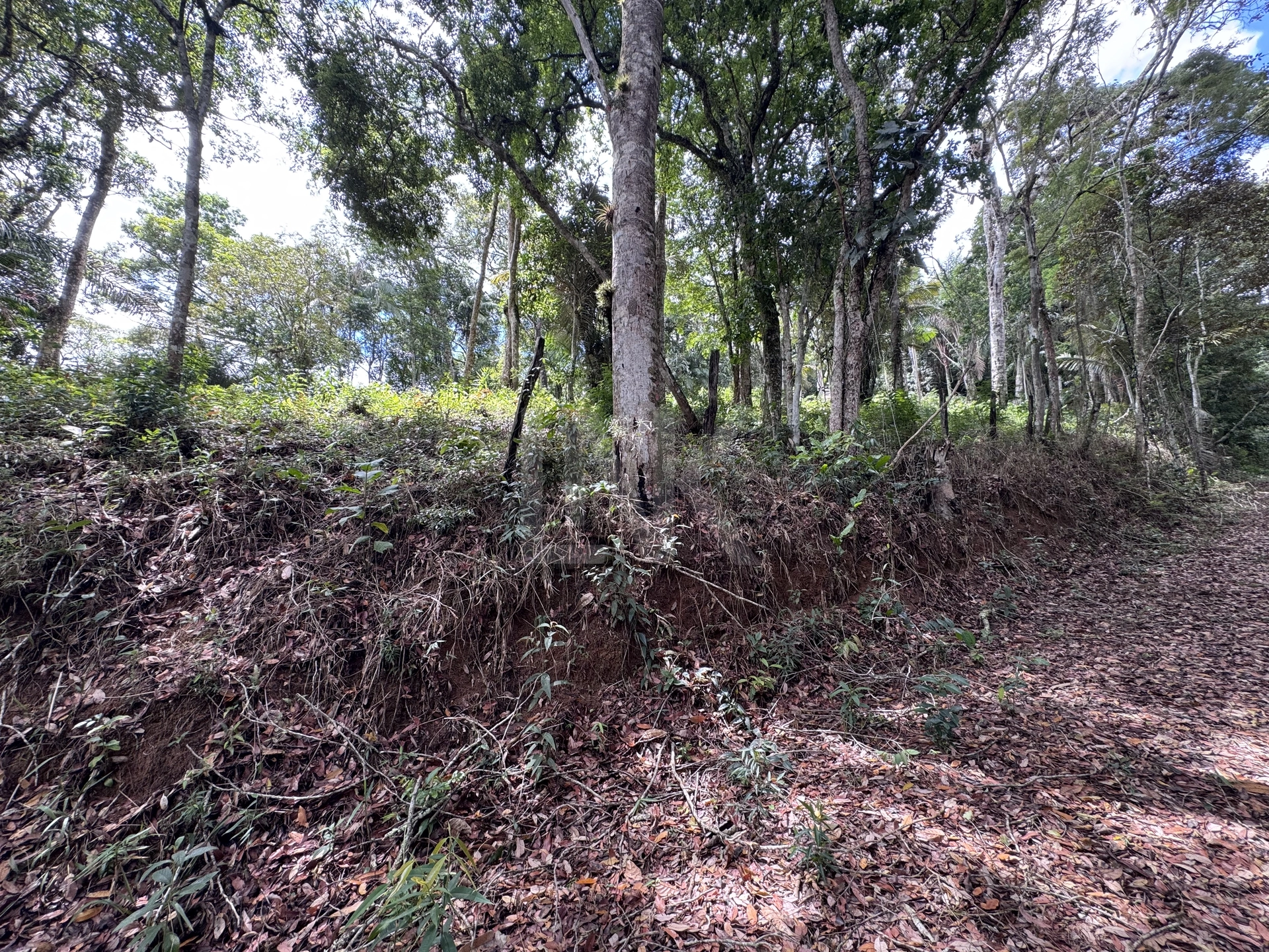 Terreno | Venda | AMAVALLE