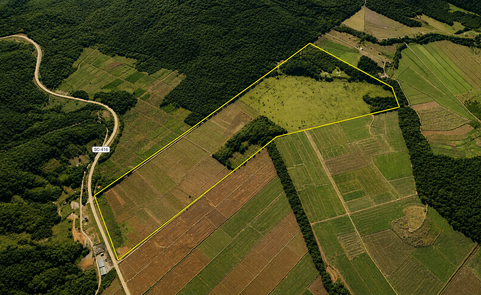 Área industrial | Venda | BRAÇO NORTE
