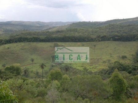 Fazenda com 3 dormitórios, 230000 m² por R$ 4.000.000 - Centro - Caeté/MG