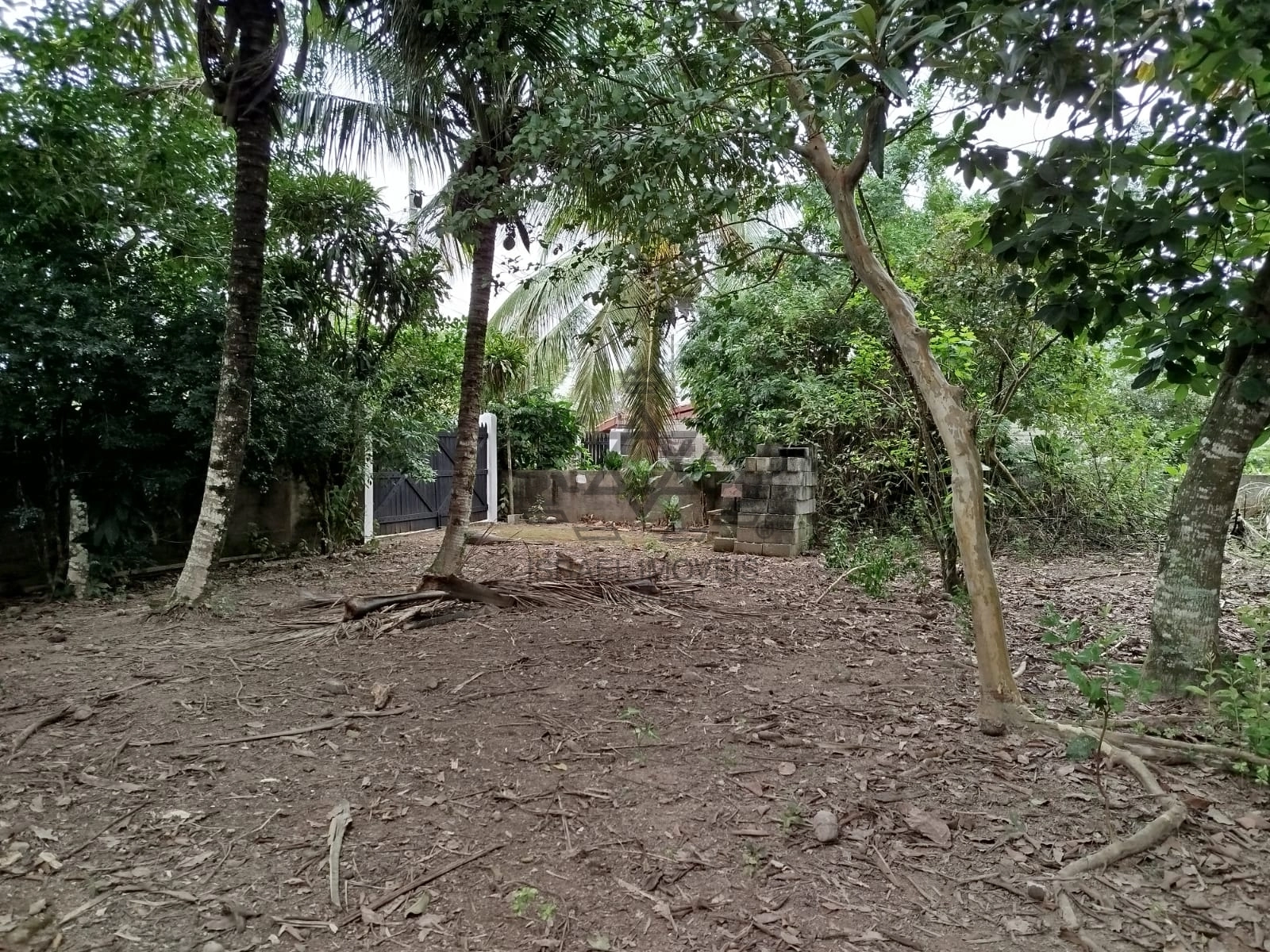 Terreno | Venda | Praia das Palmeiras