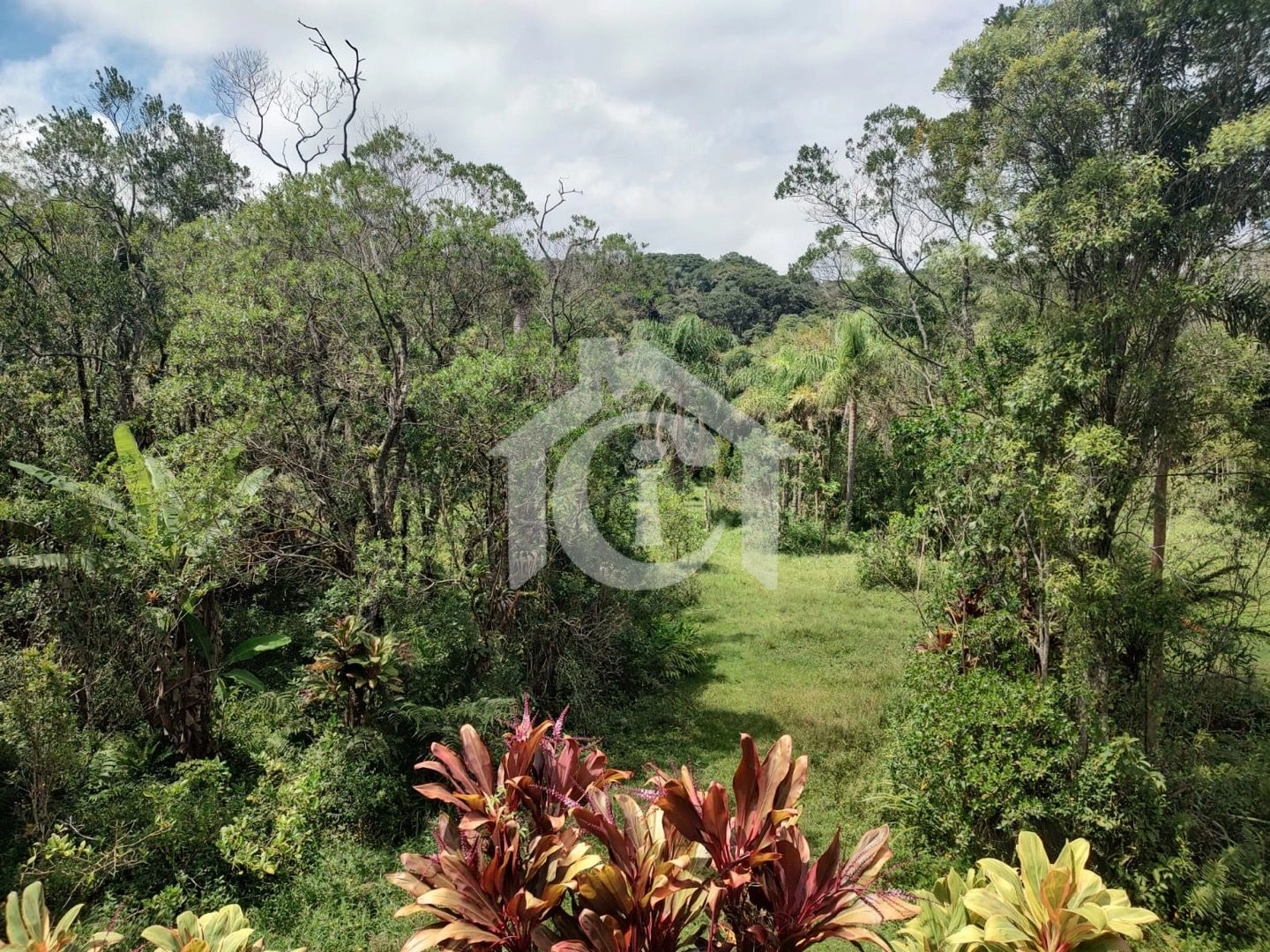 Vende se Ótima chácara em Sao Bernardo