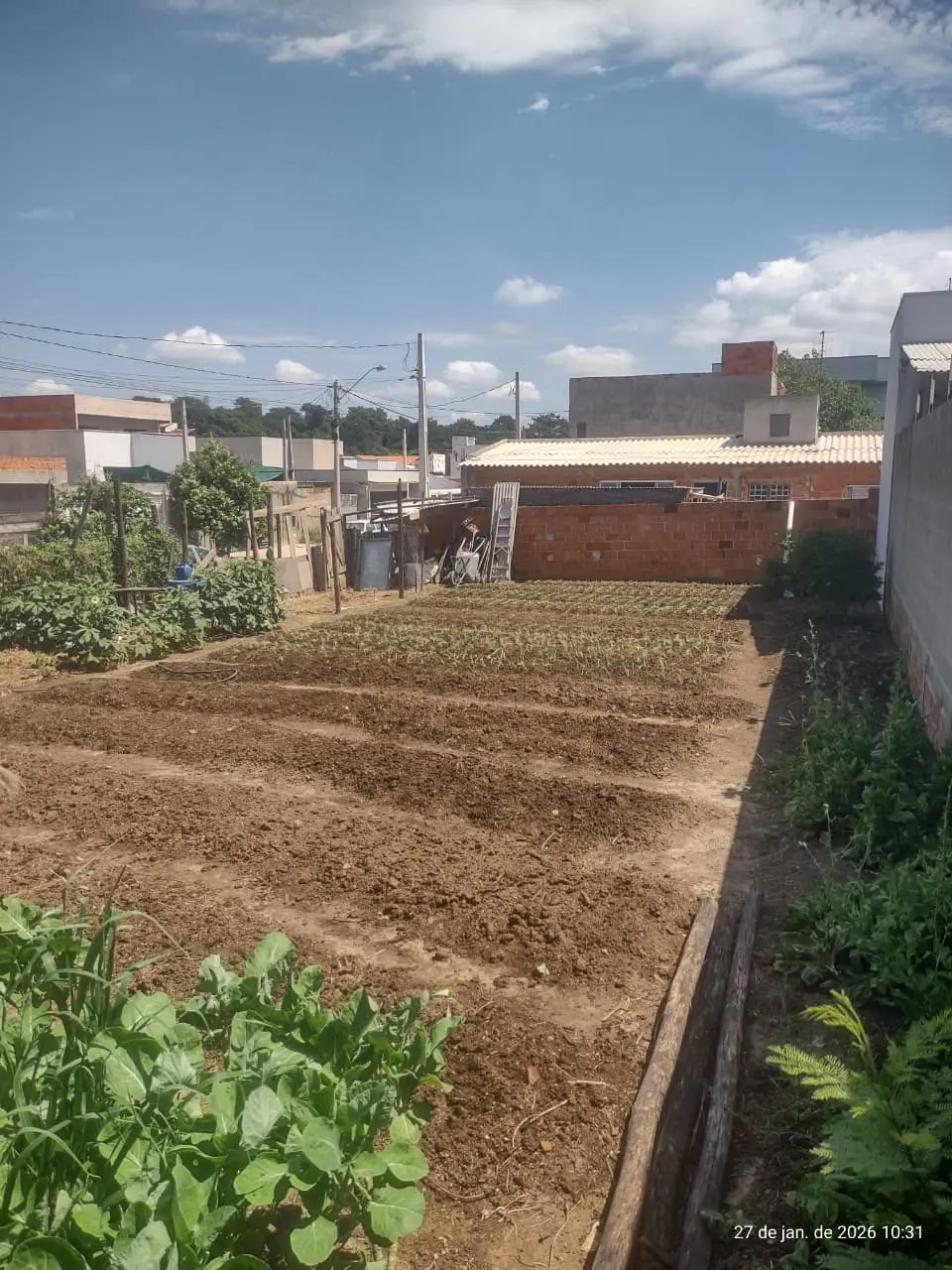 Terreno | Venda | Residencial Morro da Mata