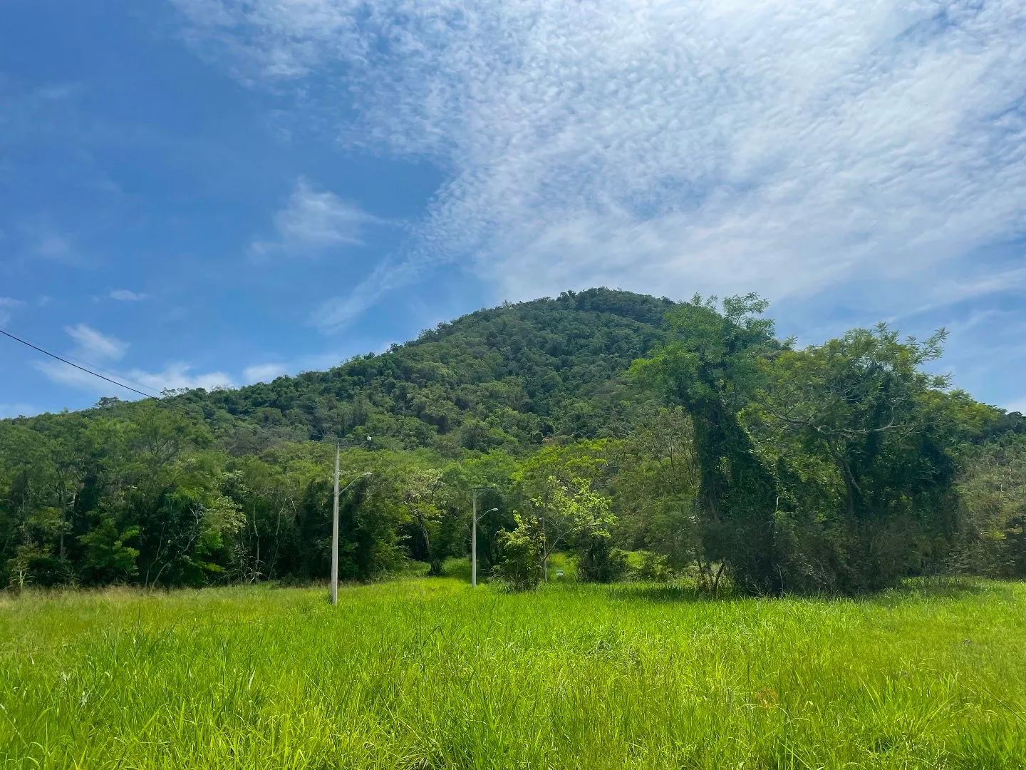 Terreno para venda - Demo 316202