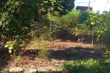 Foto 6
