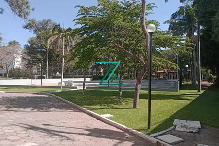 Foto 7