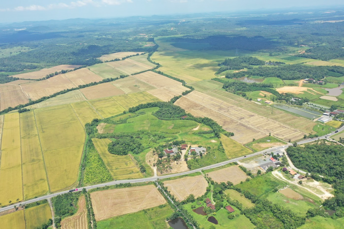 Área rural | Venda | Vila Nova