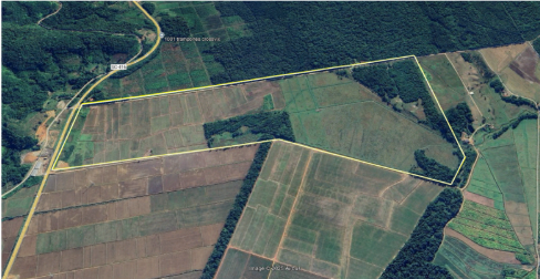 Área industrial | Venda | BRAÇO NORTE
