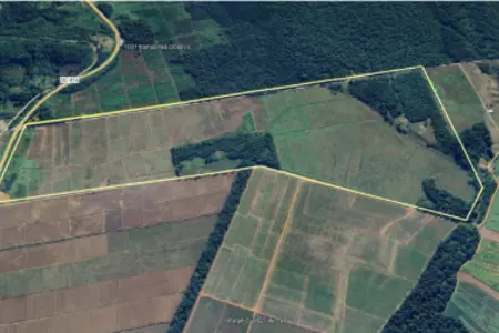 Área industrial | Venda | BRAÇO NORTE
